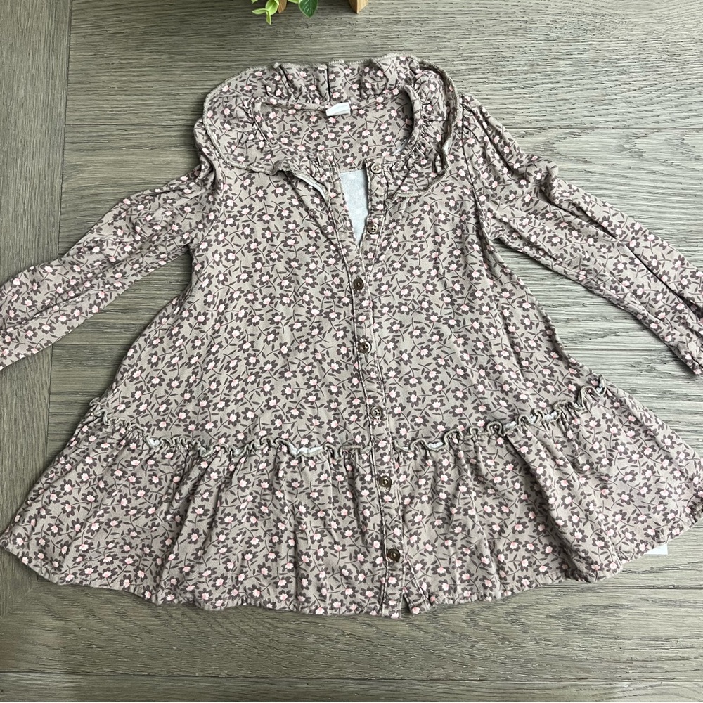 BabyGap 2T Fall Floral prairie dress